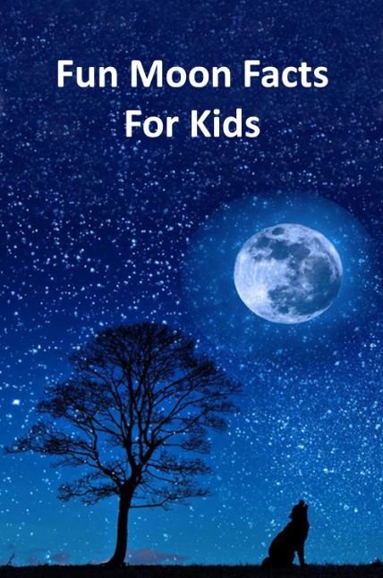 Fun Moon Facts for Kids