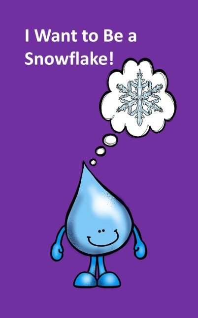 I Want to Be a Snowflake: I'm a water drop who wants to be a beautiful snowflake! (Science
