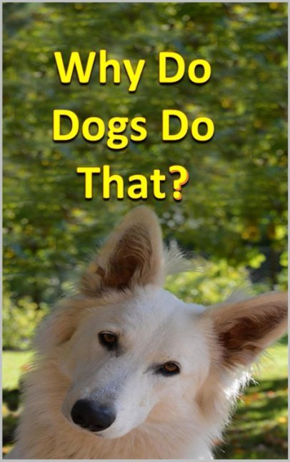 Why Do Dogs Do That?