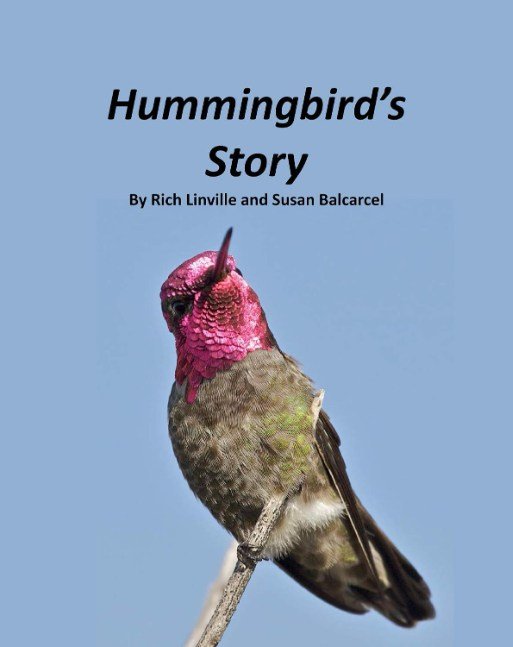 Hummingbird's Story