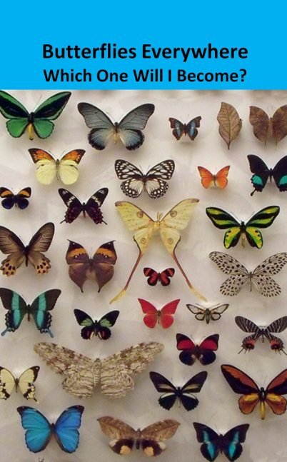 Butterflies Everywhere: Which One Will I Become?
