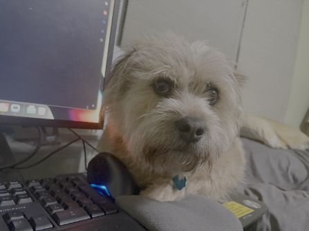 Lisa Hilton